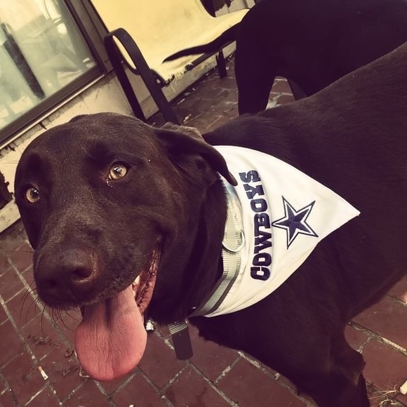 Meet your Posher, Stephanie - Picture 3 of 4