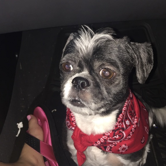 Meet your Posher, Tanya - Picture 1 of 1