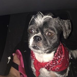 Meet your Posher, Tanya