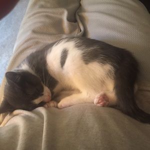 Meet your Posher, Dan