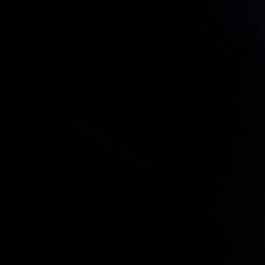 Meet your Posher, Timmy