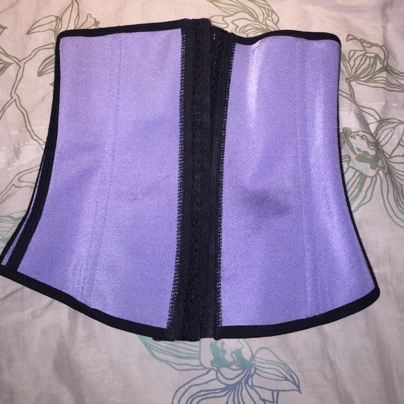 Orchard Corset Other - NWOT Orchard Corset's "vedette" style corset