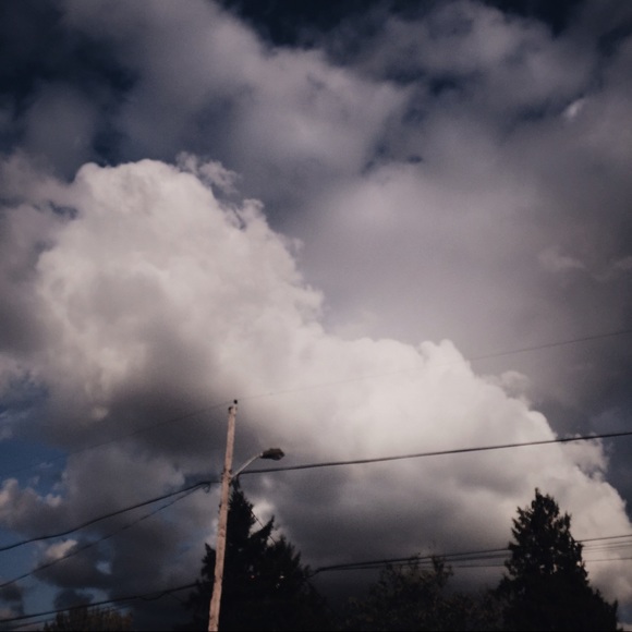 Meet your Posher, Joseph - Picture 1 of 1