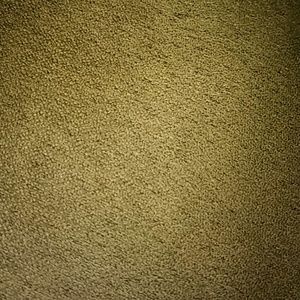 Meet your Posher, Shy