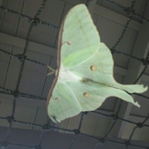 Meet your Posher, Bryant