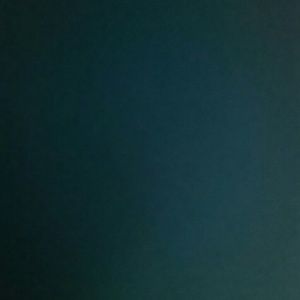 Meet your Posher, Regan