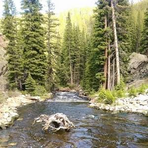 Meet your Posher, Merry