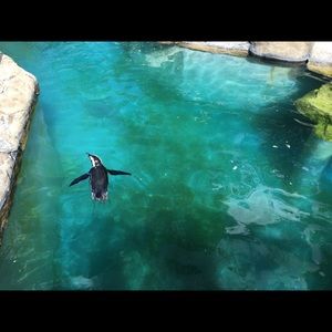 Meet your Posher, Mahsa