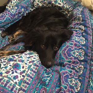 Meet your Posher, Chloe