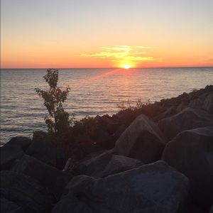 Meet your Posher, Maddy