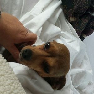 Meet your Posher, Sherry