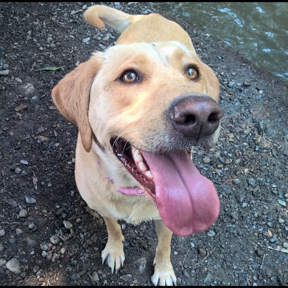 Meet your Posher, Kaity - Picture 2 of 4