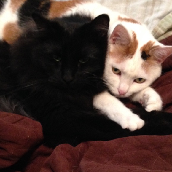 Meet your Posher, Kaity - Picture 3 of 4