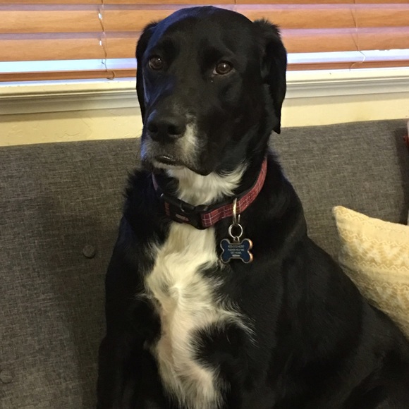 Meet your Posher, Kaity - Picture 4 of 4