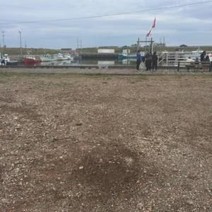 Meet your Posher, Sharon