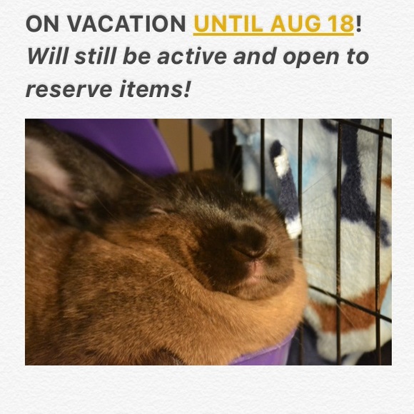 Vacation Status