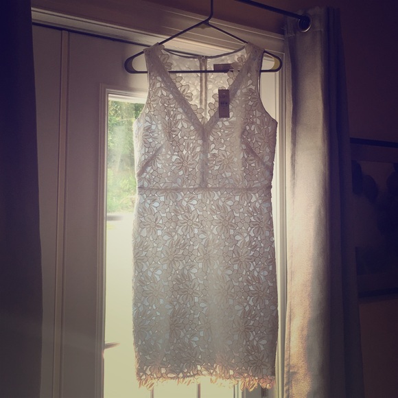 Loft lace sheath dress