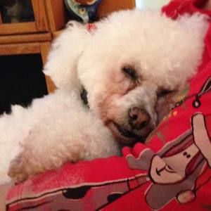 Meet your Posher, Roxanne