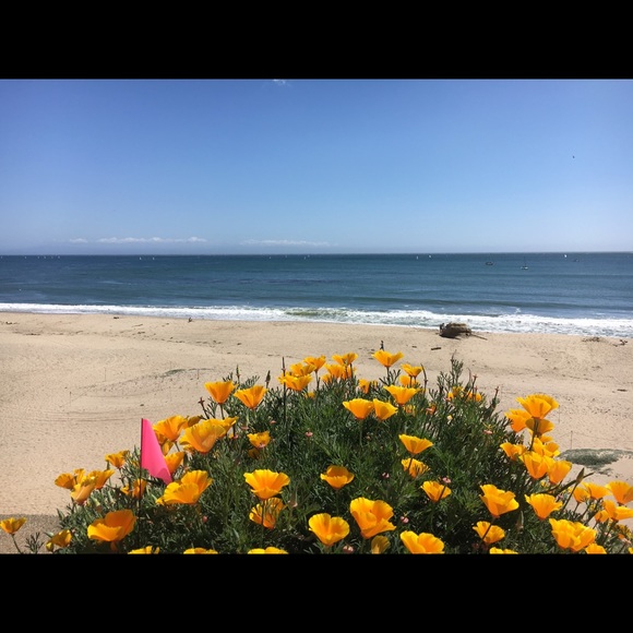 Say hello!! ❤️ - Picture 3 of 3