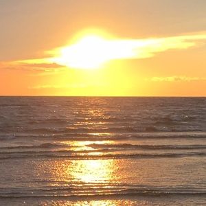 Meet your Posher, Charlotte