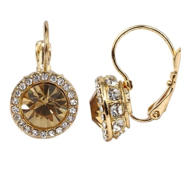 🚫French Clip Earrings - Picture 2 of 4