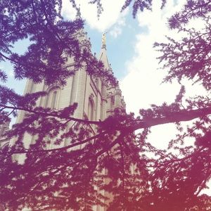 Meet your Posher, Jocelyn