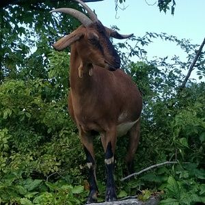 Meet your Posher, Donna