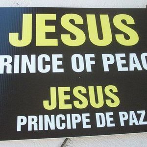 Meet your Posher, Zaida