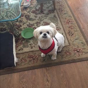 Meet your Posher, Margie