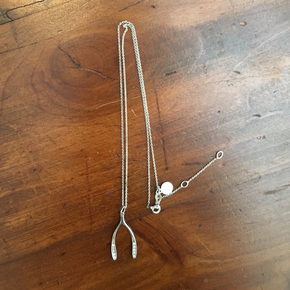 Stella & Dot Wishborn Charm on SS Chain