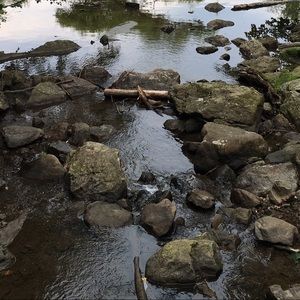 Meet your Posher, Luis