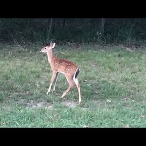 Meet your Posher, Traci