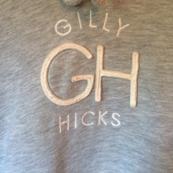 Gray Gilly Hicks Hoodie!! small, perfect condition - Picture 2 of 4
