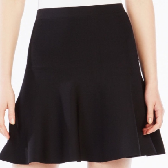 BCBG skirt