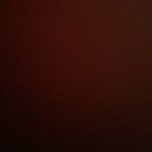 Meet your Posher, Tamara