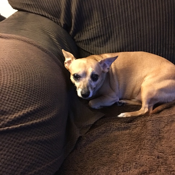 Meet your Posher, Paula - Picture 1 of 1