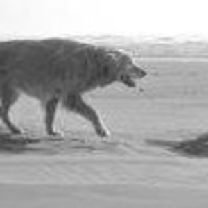 Meet your Posher, Sue