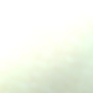 Meet your Posher, Will