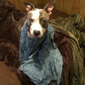 Meet your Posher, Tina