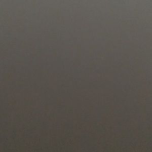 Meet your Posher, Rae