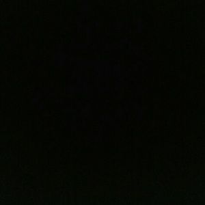 Meet your Posher, Zoi