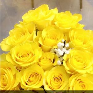 Meet your Posher, Victoria