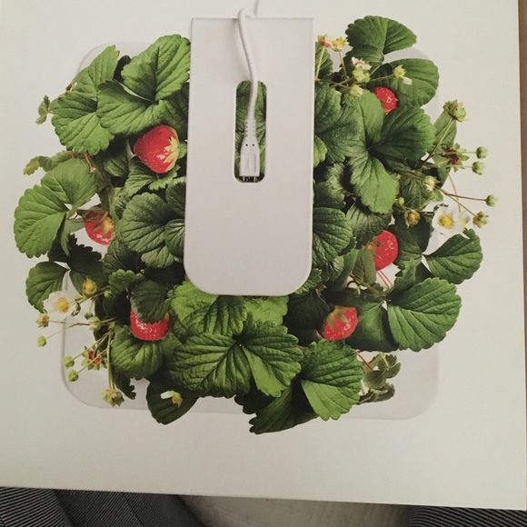 MUST GO! Click and grow planter light pot grow - Picture 2 of 3