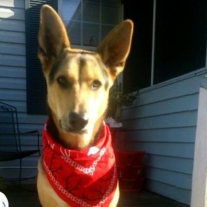 Meet your Posher, Michaela