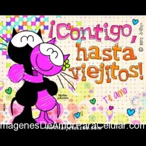 Meet your Posher, Gloria