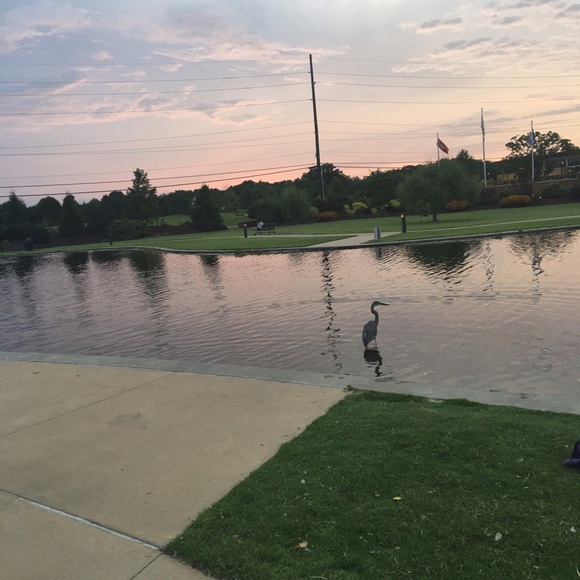 Meet your Posher, Sima