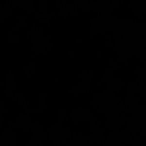 Meet your Posher, Aaliyah