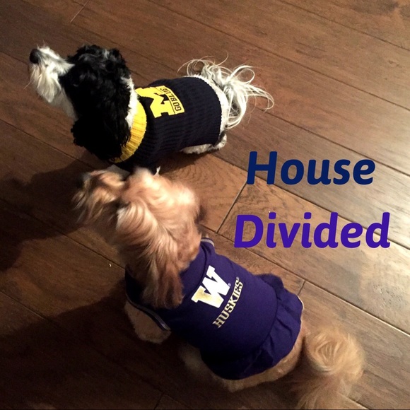 re’imagine..everything you can imagine is real!💫 - Picture 2 of 6