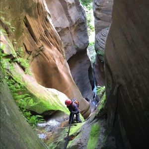 Meet your Posher, Kristi