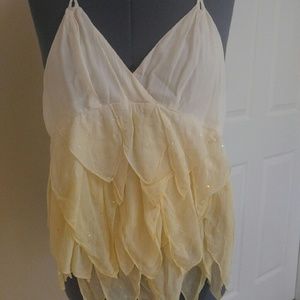 Ombre tank